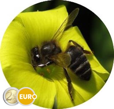 2 euro Malta 2024 - Maltese honey bee BU FDC Coincard